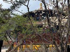 -潭柘寺景区