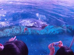 -暹罗海洋世界