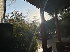 -环城公园