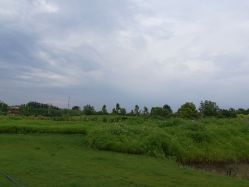 -圣露庄园·草坪婚礼·宴会厅·会议