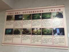 -人和水上飘(第一家店)