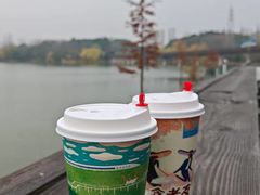 -昆山城市生态森林公园