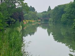 -昆山城市生态森林公园