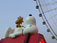 -南昌之星摩天轮