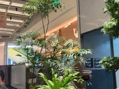 -谭厨中山传家菜.乳鸽.脆鲩鱼(华强北中航城店)