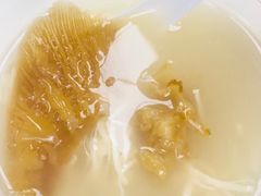 -添發碗仔翅美食