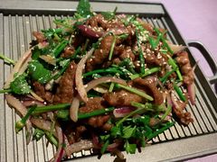 -金鸭季·北京烤鸭(深业上城店)