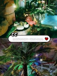 -恐龙探索乐园(磁器口店)