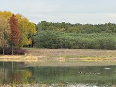 -贡湖湾湿地公园