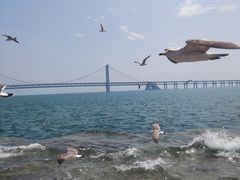 -星海广场