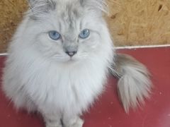 -和它·交个朋友·狗咖猫咖(爱琴海店)