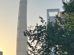 -上海滨江森林公园