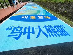 -婺源月亮湾