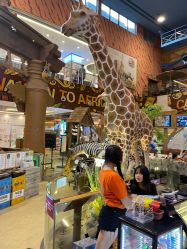 -卡通尼·Safari非洲探索乐园·生日会(金桥国际商业广场店)