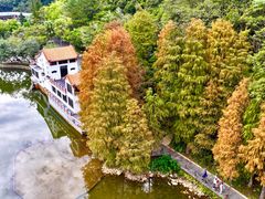 -深圳仙湖植物园