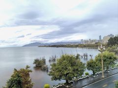 -野菌皇海景野生菌火锅(滨海大道店)