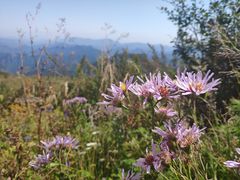 -白草畔自然风景区
