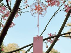 -狐尾山公园