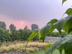 -安德鲁户外烧烤帐篷营地(马泉营店)