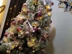 -Husky Go! 哈士奇体验馆·宠物咖啡厅狗咖