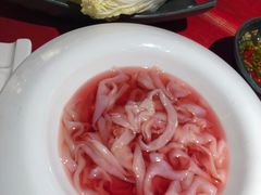 -谭鸭血老火锅(万象九宜城店)