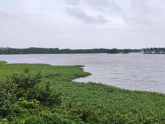 -沙美村