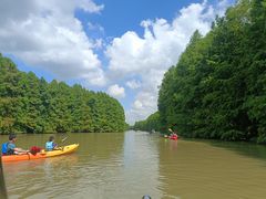 -上海海湾国家森林公园