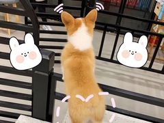 -品回味清真西北楼(宁波首店)