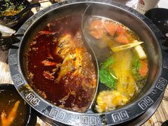 -销魂美蛙鱼头火锅(上海首店)
