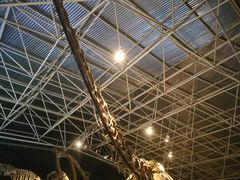 -世界恐龙谷景区