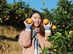 -瓷天下海丝谷