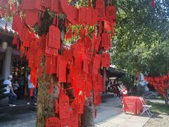 -天一阁博物院