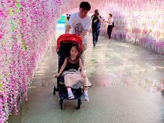 -泉城欧乐堡水上世界