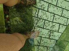 -哈尔滨太平湖温泉酒店