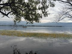 -西昌邛海湿地