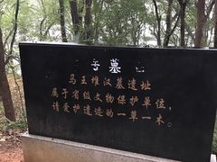 -马王堆汉墓遗址