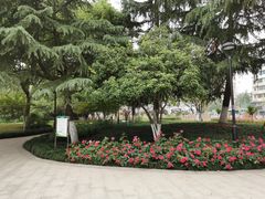 -大关公园
