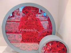 -ROSEONLY诺誓(沈阳万象城店)