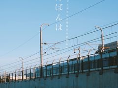 -海堤纪念公园