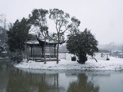 -扬州大运河文化旅游度假区·盆景园