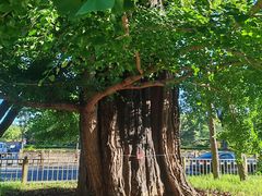 -清华大学玉泉医院