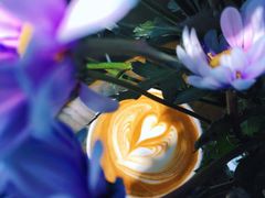 -HANA COFFEE(长寿路店)