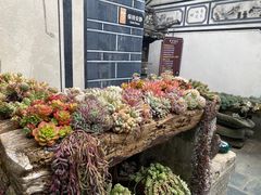 -寂照庵