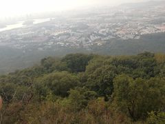 -紫金山山顶公园