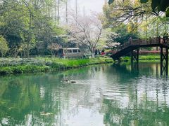 -老头儿油爆虾·1987杭州烟火味(湖滨银泰in77D区店)