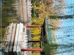 -环城公园