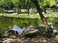 -上海吴淞炮台湾国家湿地公园
