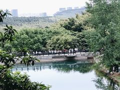 -九龙潭景区