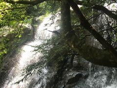 -藏龙百瀑风景区