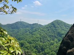 -南山植物园